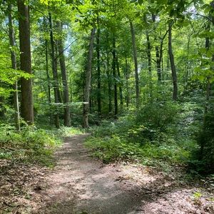 Meet your Posher, Jailene